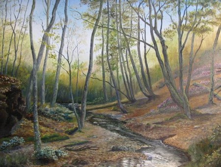 Sous bois Corrézien 